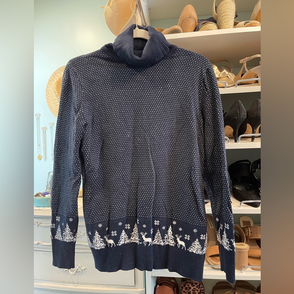 LL Bean Turtle neck sweater